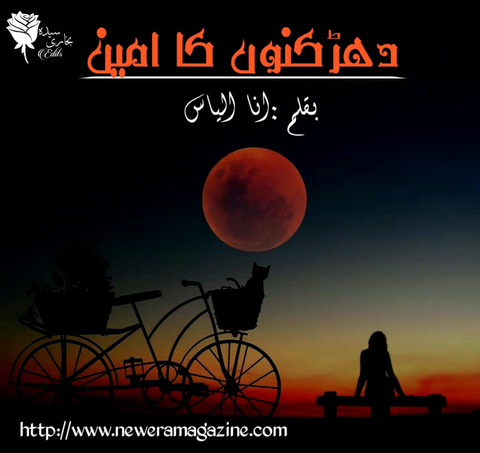 Dharkanon Ka Ameen By Ana Ilyas Complete 