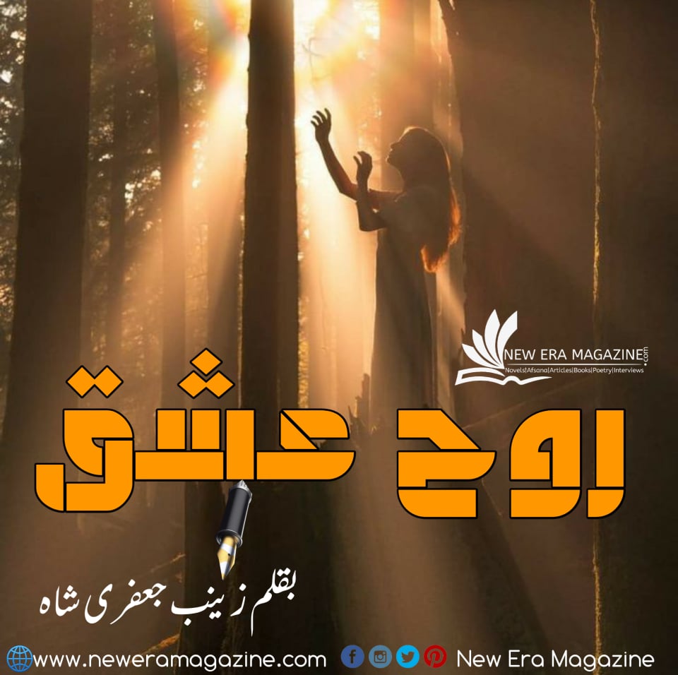 Rooh e Ishq By Zainab Jaffri Shah Complete