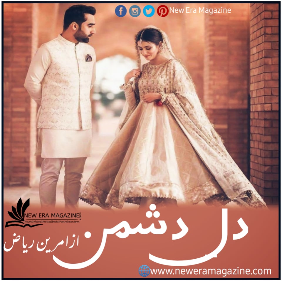 Dil e Dushaman By Amreen Riaz Complete