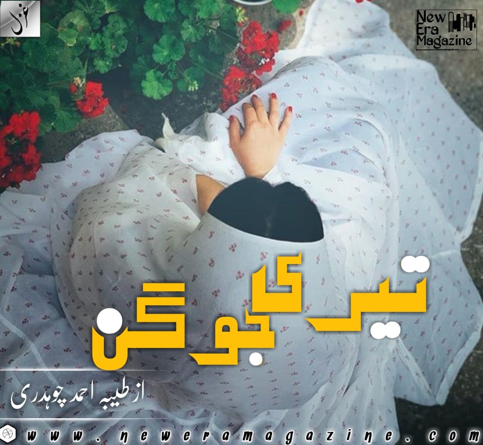 Teri Jogun By Tayyba Ahmed Chudhary Complete